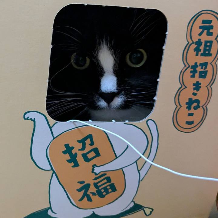 2c7e35bd fdfe 44bd ad35 c2cbc2ee5520 1742464826502