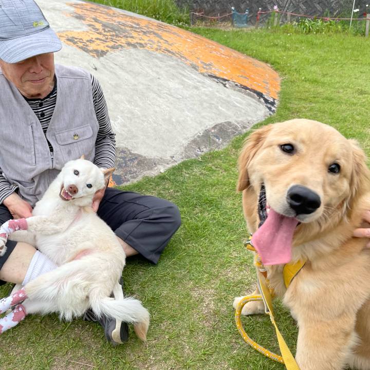 2c7e539f 629b 401b 8835 879d04ef3e47 1685275915209