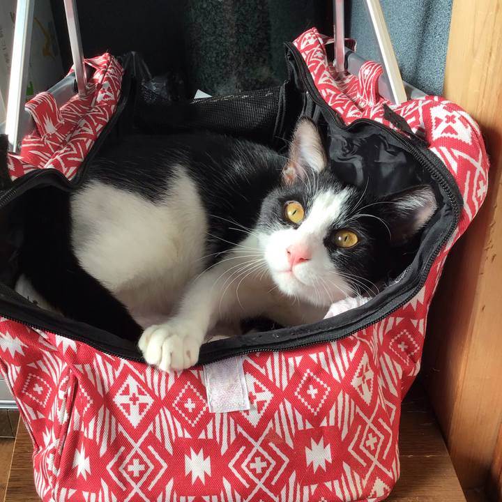 2c7e74dc cc18 4ad4 860b c1e7c87bd768 1640139081559