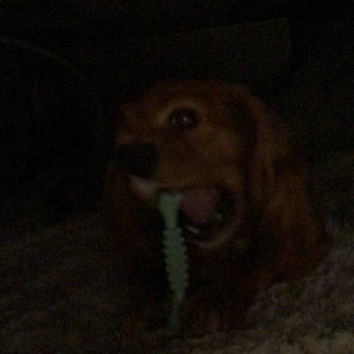 2c7e93cf dc32 461b a0bb 8750cf719aba 1616686482060