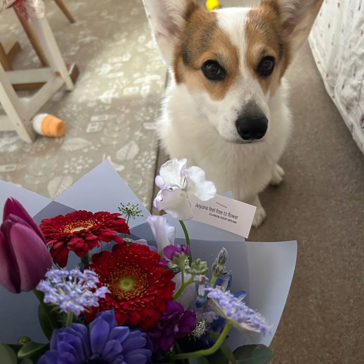 2c7ed1d9 96d4 433f 9f2a 3699a08dbc7b 1775314093260