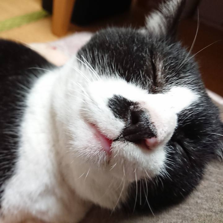 2c7f0a22 d9f6 4689 9dce 92f3475eb3b4 1604316351790