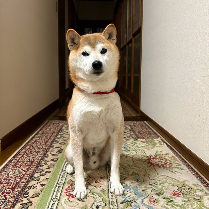 2c7f7f60 780b 4d29 b25e 80e1f1904d58 1704020751154