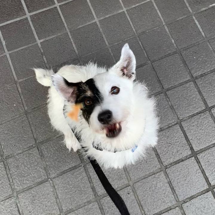 2c7f92ab 1caf 40ae 8129 87b130daf75d 1728517946463