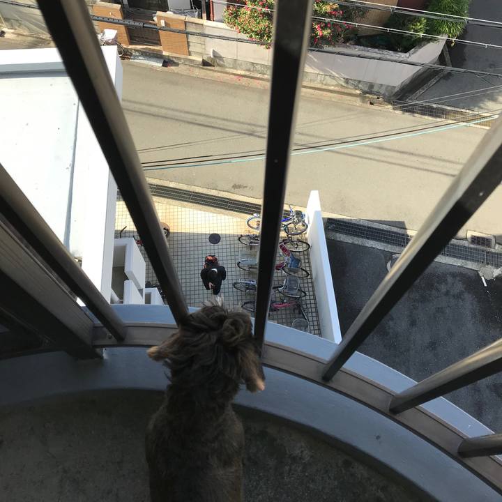 2c7fc87d 7d31 4754 88bf ac714c521f82 1543977585899