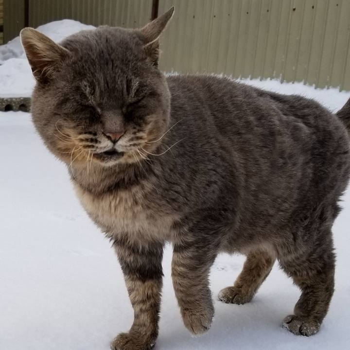 2c7fdfe1 bf65 40e4 a0a0 5df584d64929 1547709570523