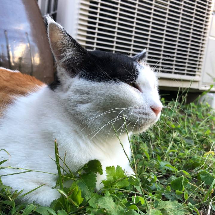 2c7fedc2 f455 4621 b43f f8bad80cb35a 1600592544086