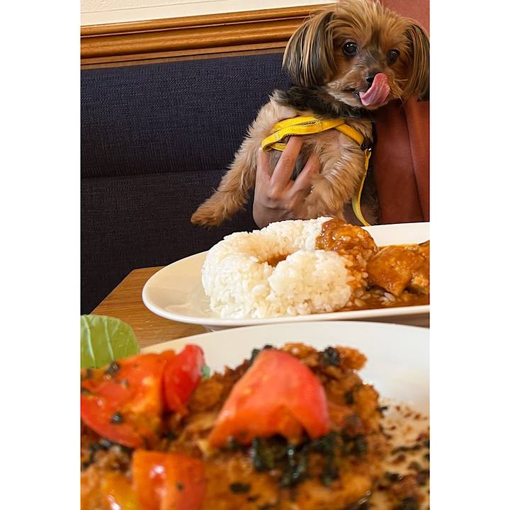 2c7ffe85 9ad6 496d 91b3 83cbf1ecffca 1664868148938