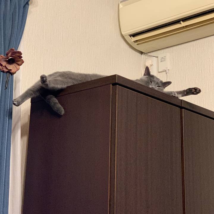 2c80007d 07f6 4f80 bc65 28cbc39381c4 1581283441040