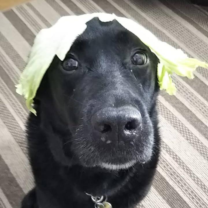 2c800d99 c643 48c4 97f7 eadcef59e083 1691807356063