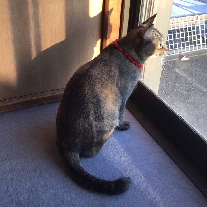 2c8014c2 eb88 4644 98a1 18124d4c12d4 1613980108816