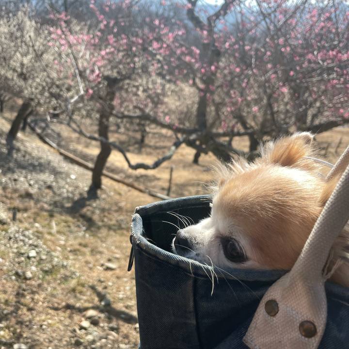 2c806a7a c25c 459c b771 5d0b9575f7e5 1771132010411