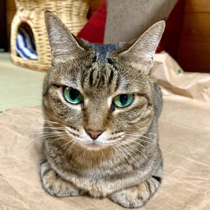 2c80da6f 8552 4de4 8a86 690817980f9c 1569823956910