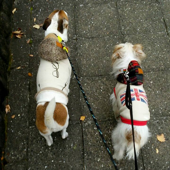 2c811a22 659e 4e2c 87a5 daed62a75962 1511674079419