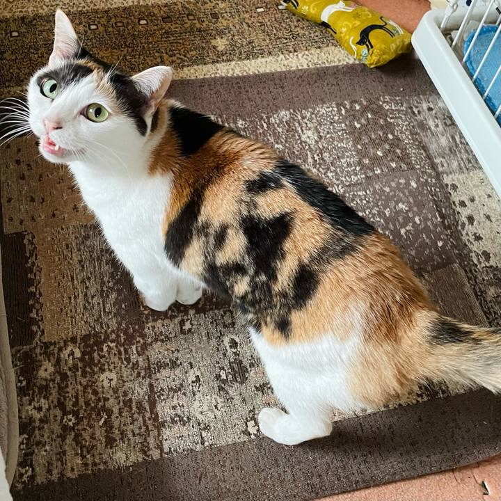 2c8128b9 faa7 4a51 afad ea6139e2e7b3 1623813131695