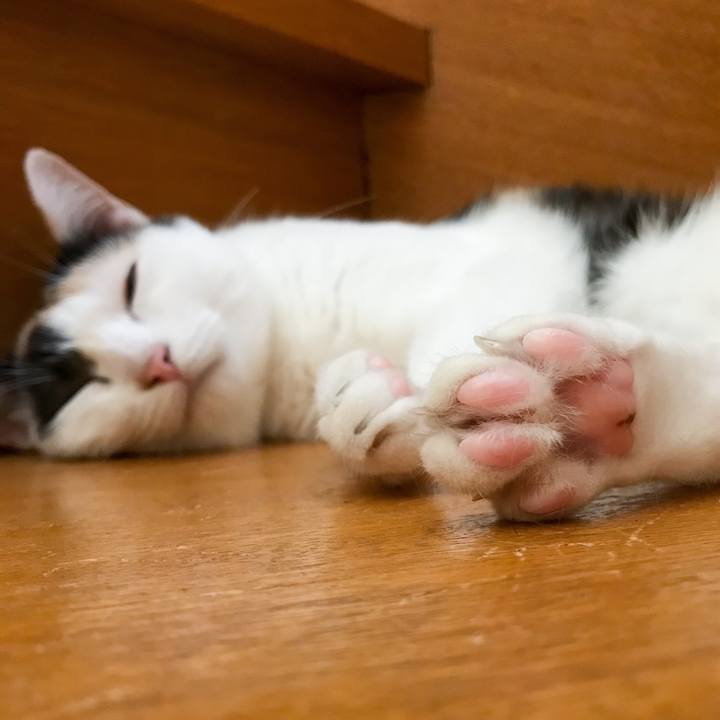 2c81388b 6997 47e7 8d88 cc2061a88203 1533219544645