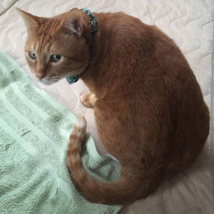 2c822ea0 039a 4b7e b0cc 5e58ec22d28a 1550563797163