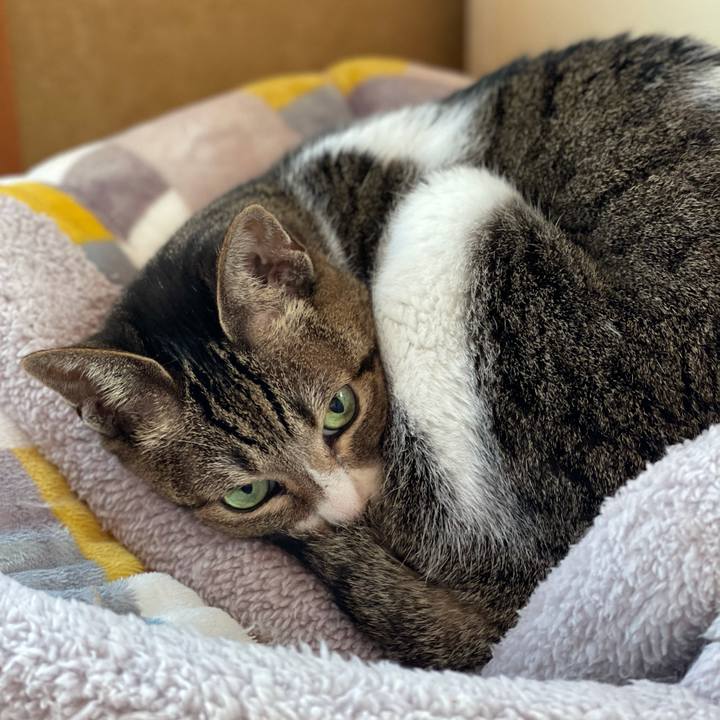 2c824b63 e12a 45f9 8c79 4f4998ecc139 1611798043522