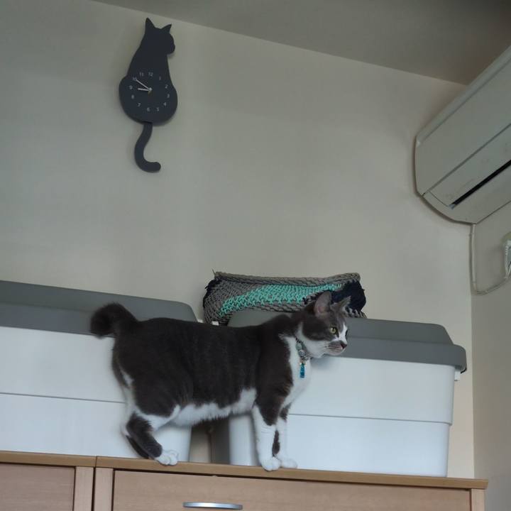 2c824fc9 5450 400f a5a2 e08eb27f7396 1758413152158