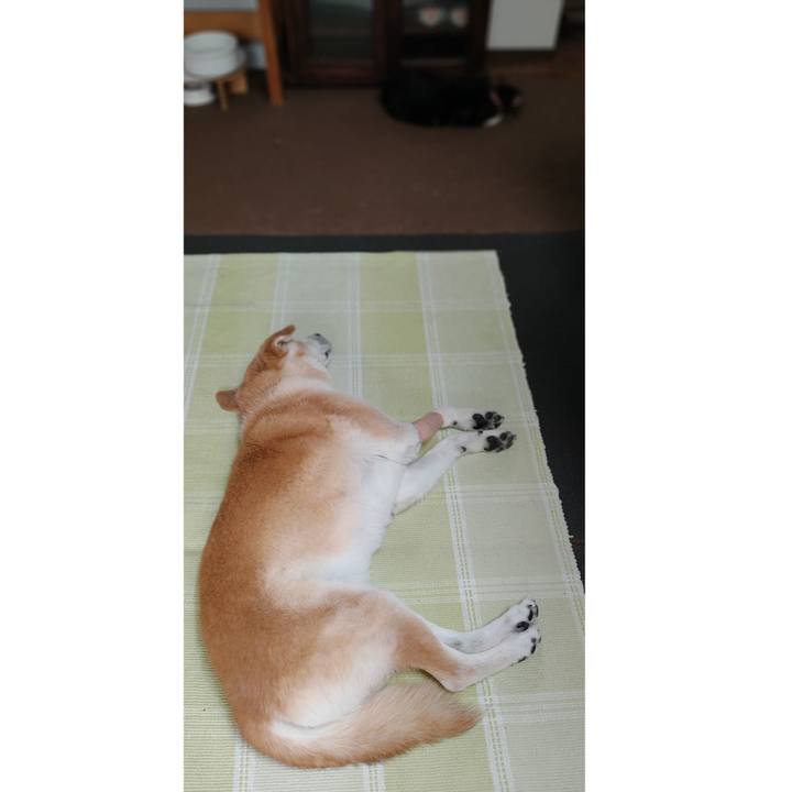 2c825aea f252 4c95 b675 978d4199bb00 1656318669112