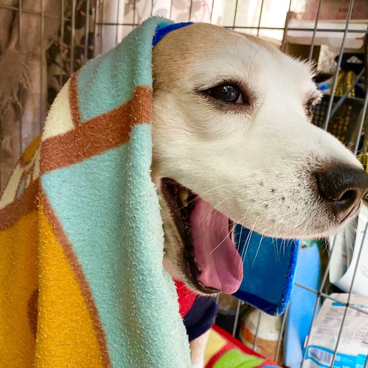 2c826897 ed48 41be 9987 5cfe13427109 1586057694545