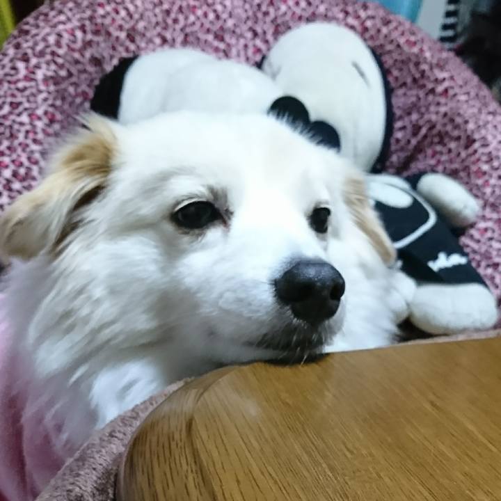 2c82792c c724 4a57 9977 292cca8afba4 1514289128597