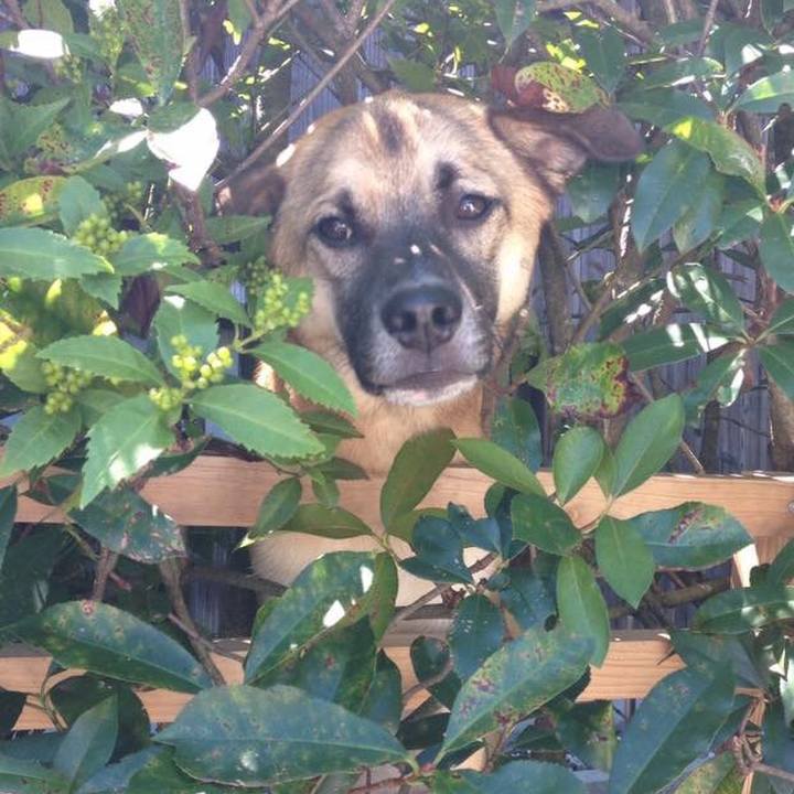 2c828f7e 4570 4061 aec5 ba17fedb9727 1575532776952