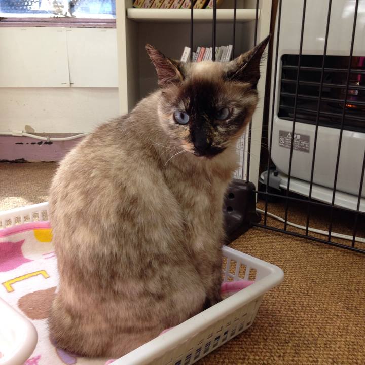 2c829c11 d732 4f4c 8e37 c3596f373f70 1512261708141