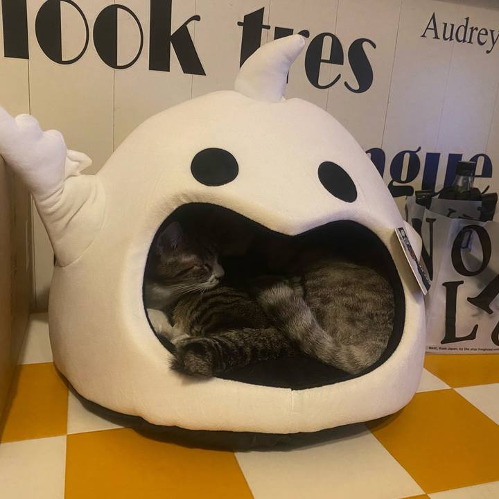 2c82c0a5 f317 42e9 aa0c 11fb2bf027b0 1730457690839