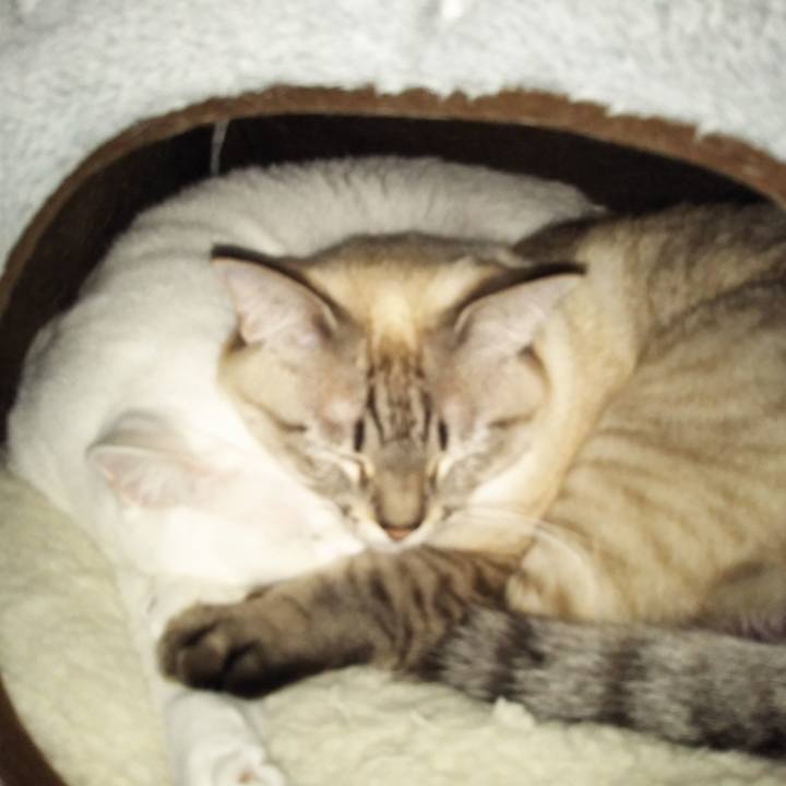 2c82caee 5d93 43b1 9595 047154e8c856 1547651194147