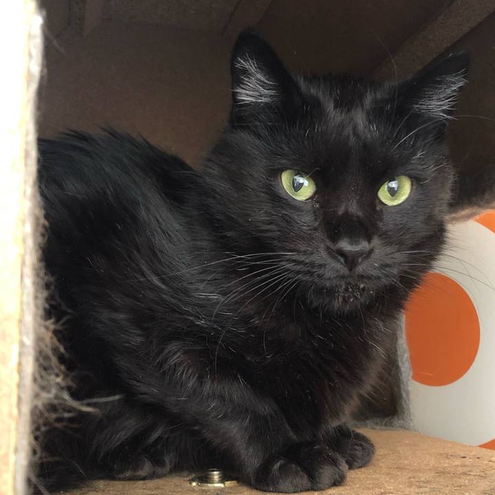 2c82d957 4395 4ad5 b7a3 b8d870dba9d5 1624338060235