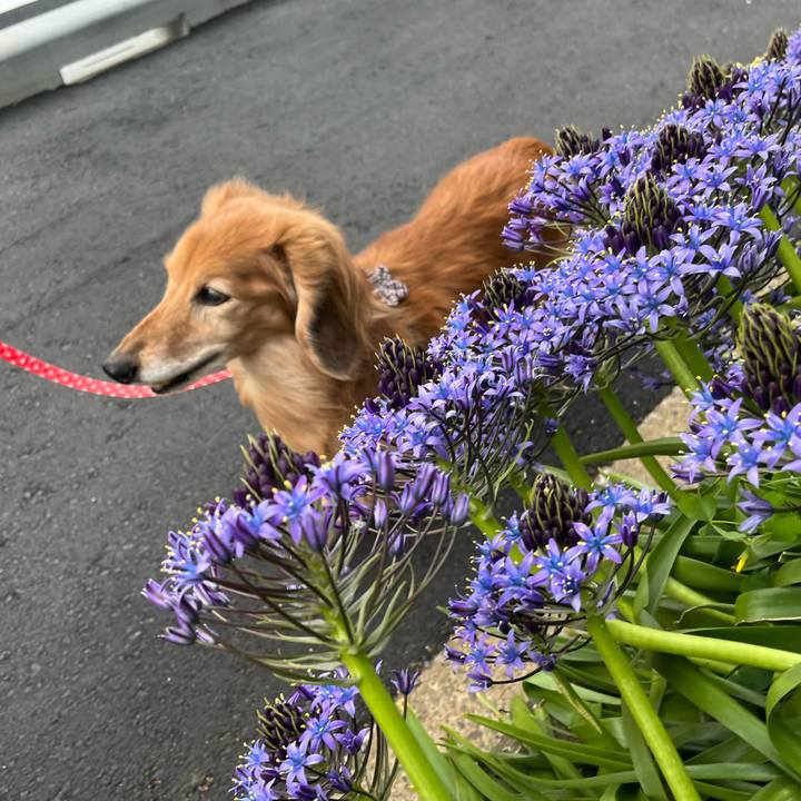 2c82ee2b f48c 46ce b8cd 72c1445b6225 1682859213120