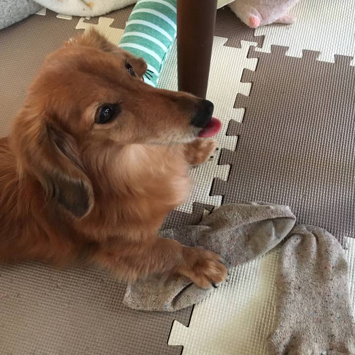 2c832938 fc9d 41f5 b449 de90a79b05c0 1607264559396