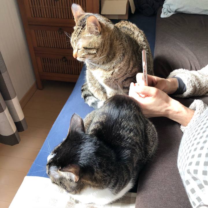 2c8348ad 930e 4863 b72e f8ea43586370 1519437033127