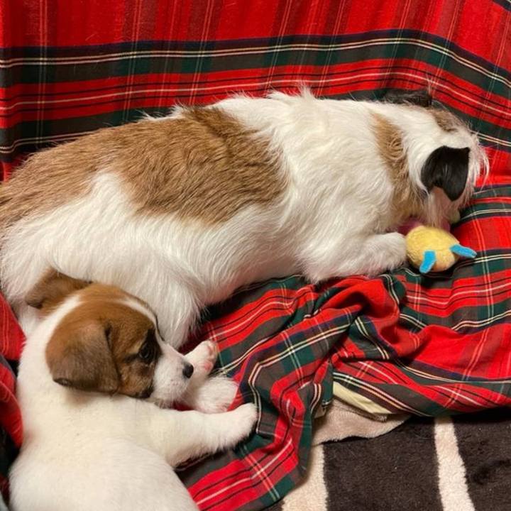 2c836066 d4b4 4141 8b10 1c68d450be60 1772516212362