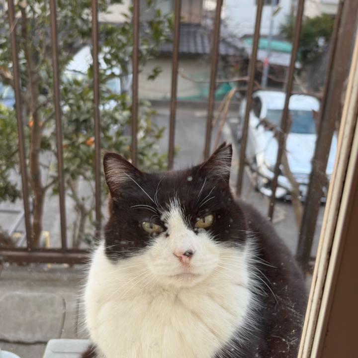 2c8382e2 a0ba 4f52 9c90 249a8b983f07 1769985866413