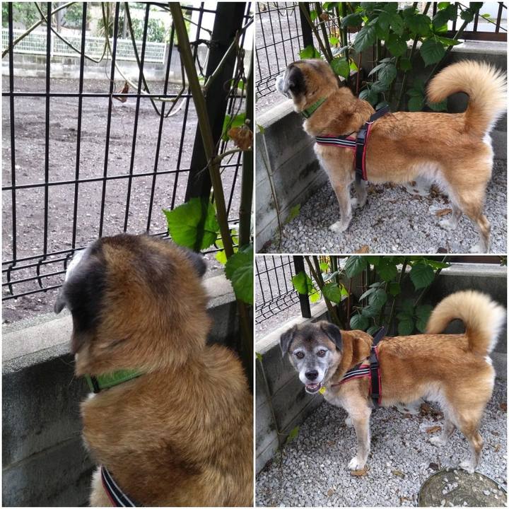 2c839b4e 3d51 46cd 80a5 d77554c7ef5a 1567639719344