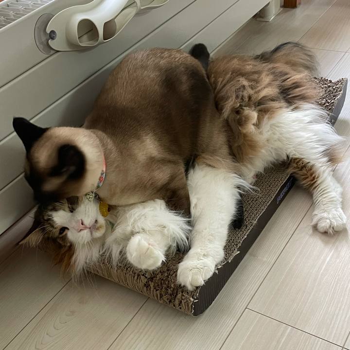 2c83bd63 94ff 4118 9036 7bcdca066a1d 1748210004372