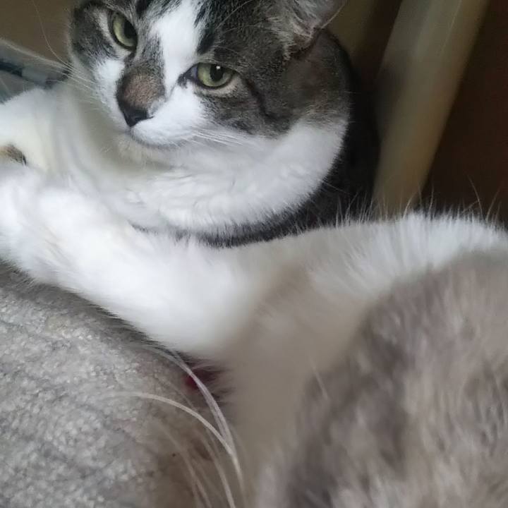 2c83ceab 99b5 468a aba9 bc83c16a2693 1627892257545