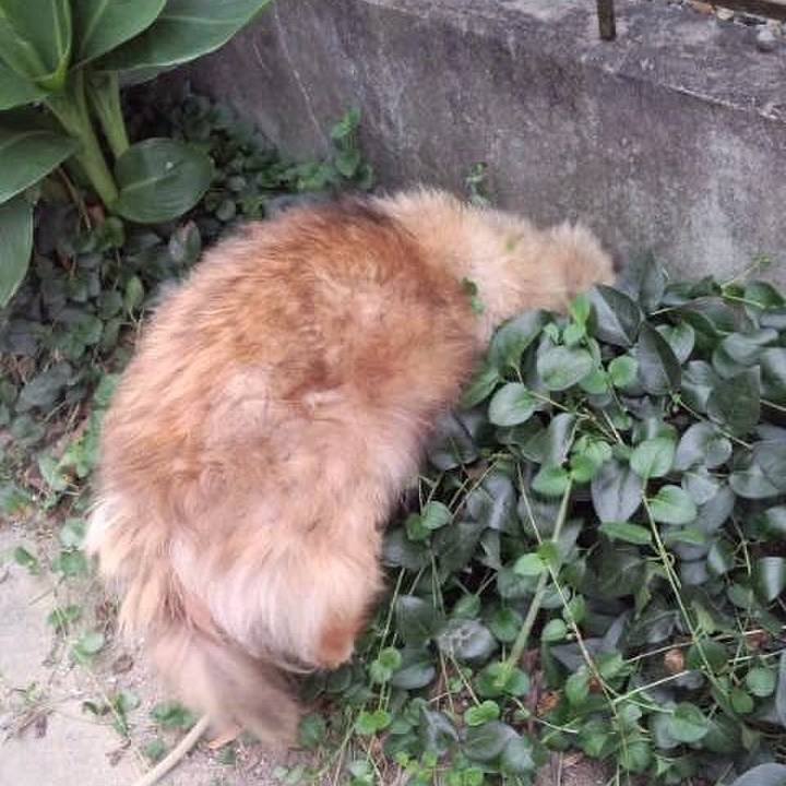 2c83ddd3 6d8f 4d76 a65d a6fe203bdb00 1563112082388