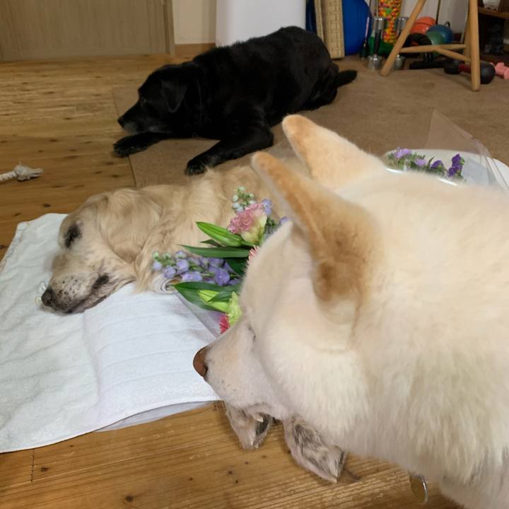 2c84440d 2d1f 4b49 85e0 0c2b0e232c0e 1613692942229