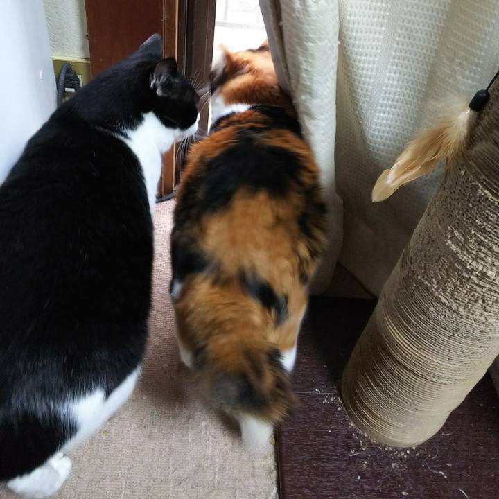 2c84482f 8d1a 4742 ad36 06e71b90f554 1529706618826