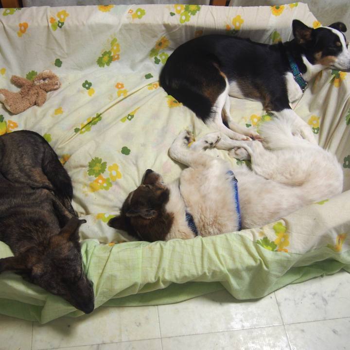 2c844a7d 1d8e 46d7 85e8 be1853cc8cd5 1585362299338