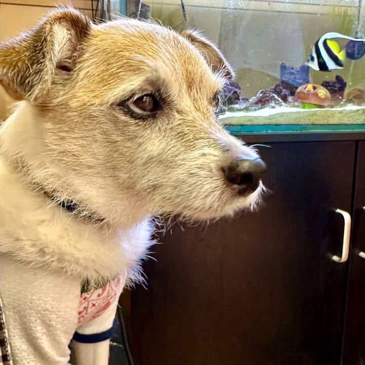 2c84663a 62c9 46f4 bf46 ecff3fca9d26 1699071904155