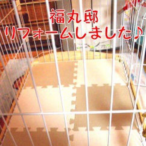 2c84bd94 b8e4 4c2e b6f4 1511bdc3e364 1680390816376