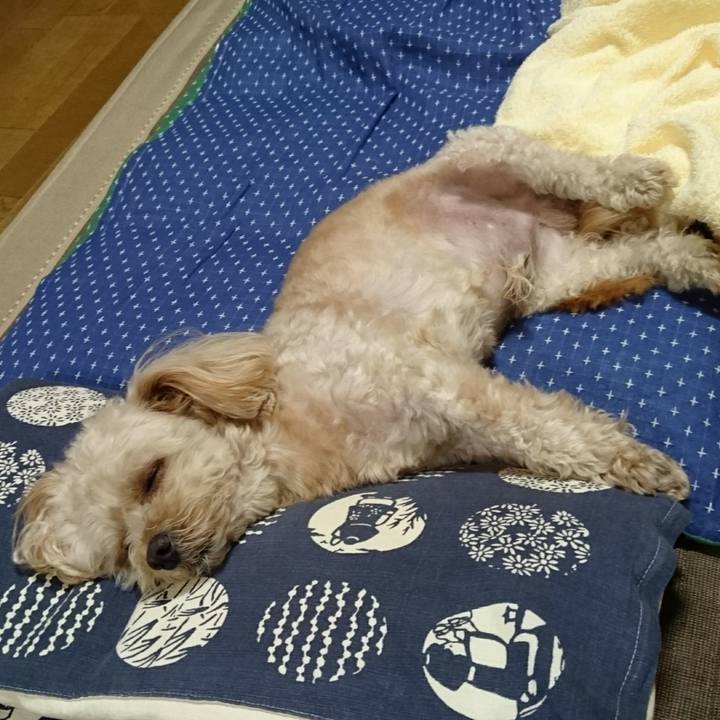 2c84d2ff 518c 42f6 849a d07d26ad0fe4 1533200308466