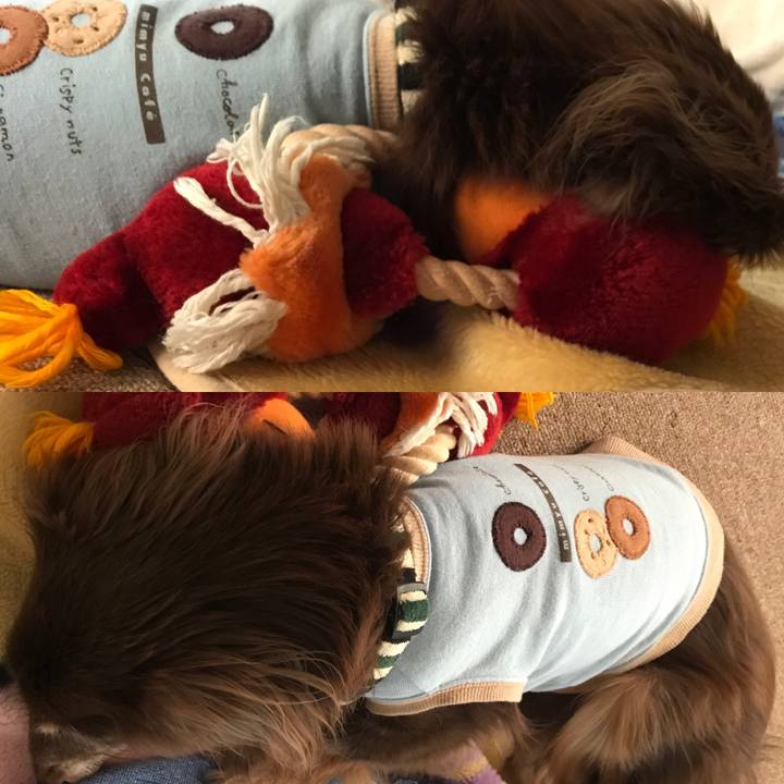 2c85165d bfb3 4323 bd83 679b393f6798 1596750362308