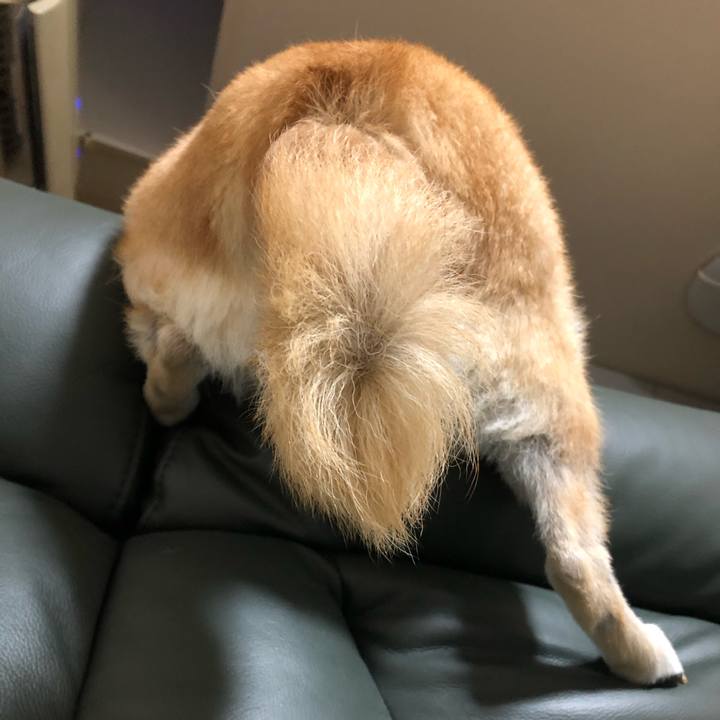 2c852273 ed77 4527 89f2 7c8a0548a2fa 1577180809642