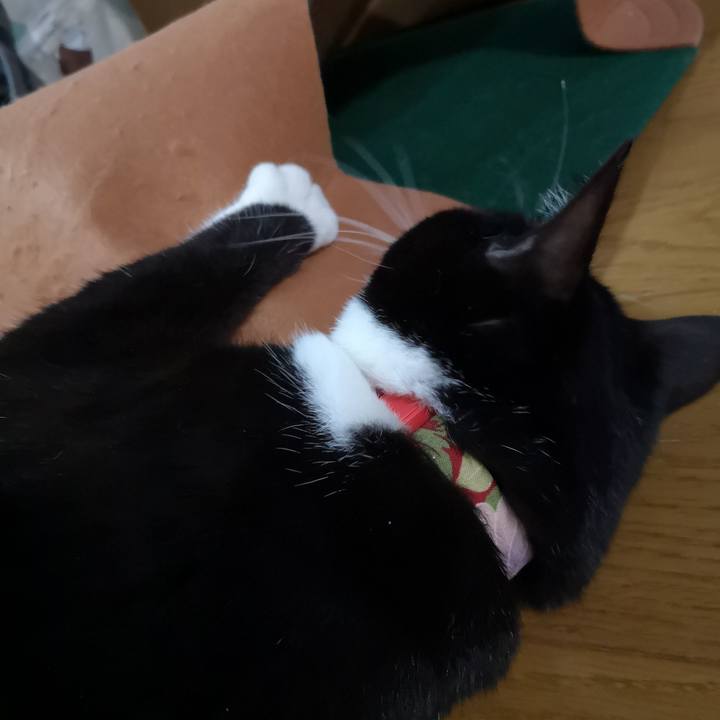 2c854315 ccb4 4bc6 af6a a5733451a09f 1577931957180