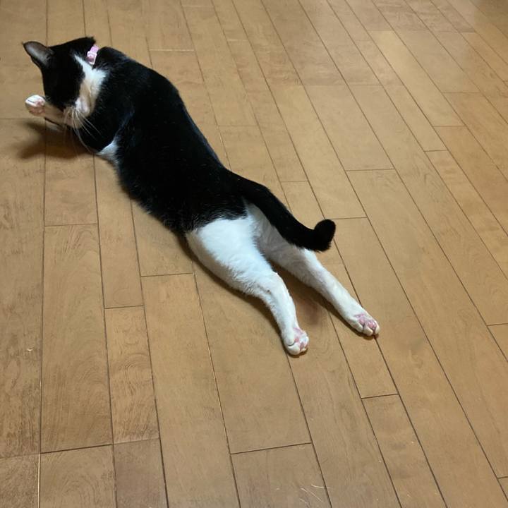 2c8548f2 4ca8 4909 a839 0f2515a5dfea 1618749534091